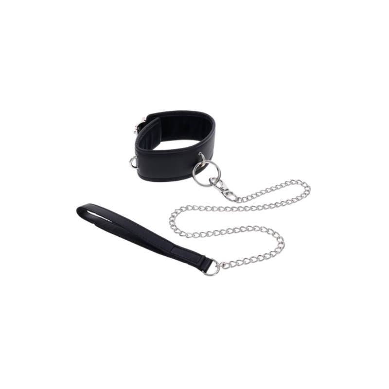 Padded Collar & Metal Leash