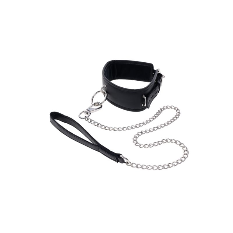 Padded Collar & Metal Leash