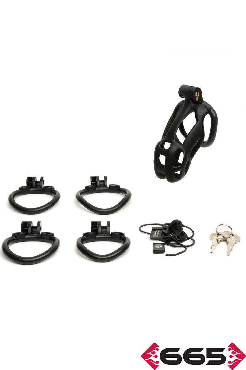 CellMate - Guardian Chastity Cage - Boutique Séduction