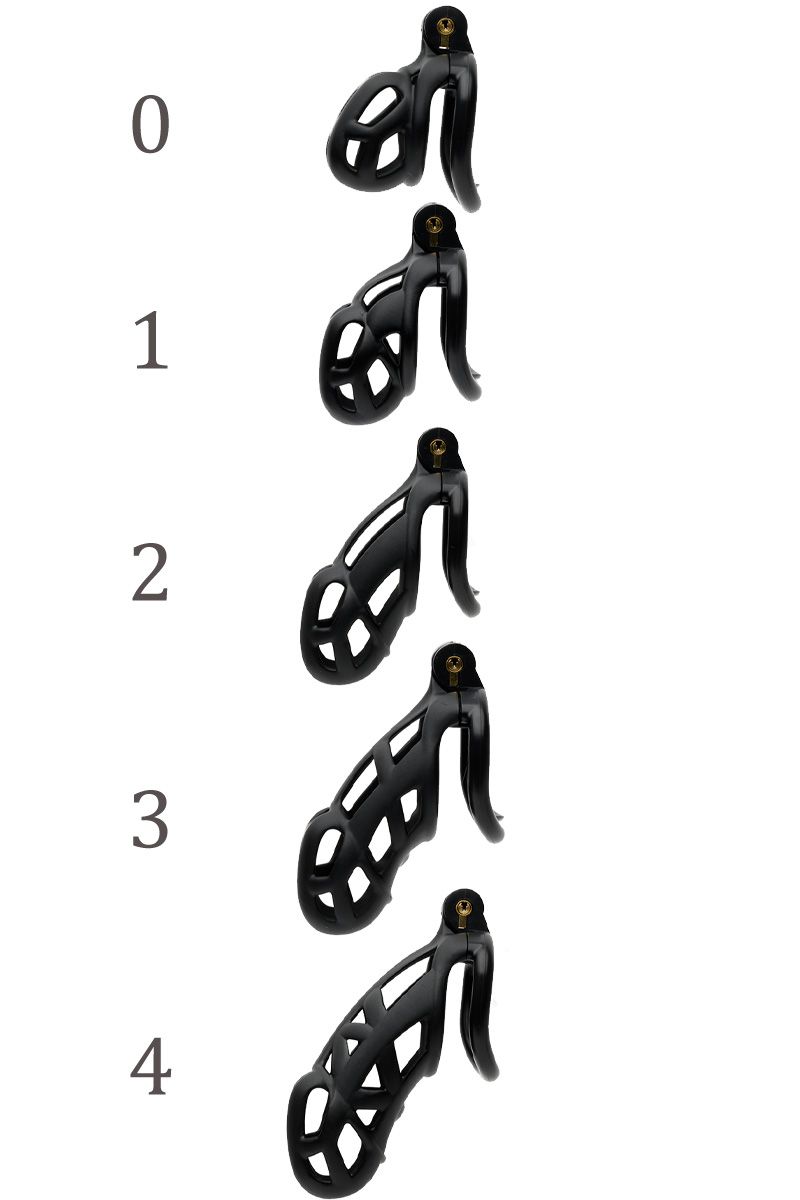 CellMate - Guardian Chastity Cage - Boutique Séduction