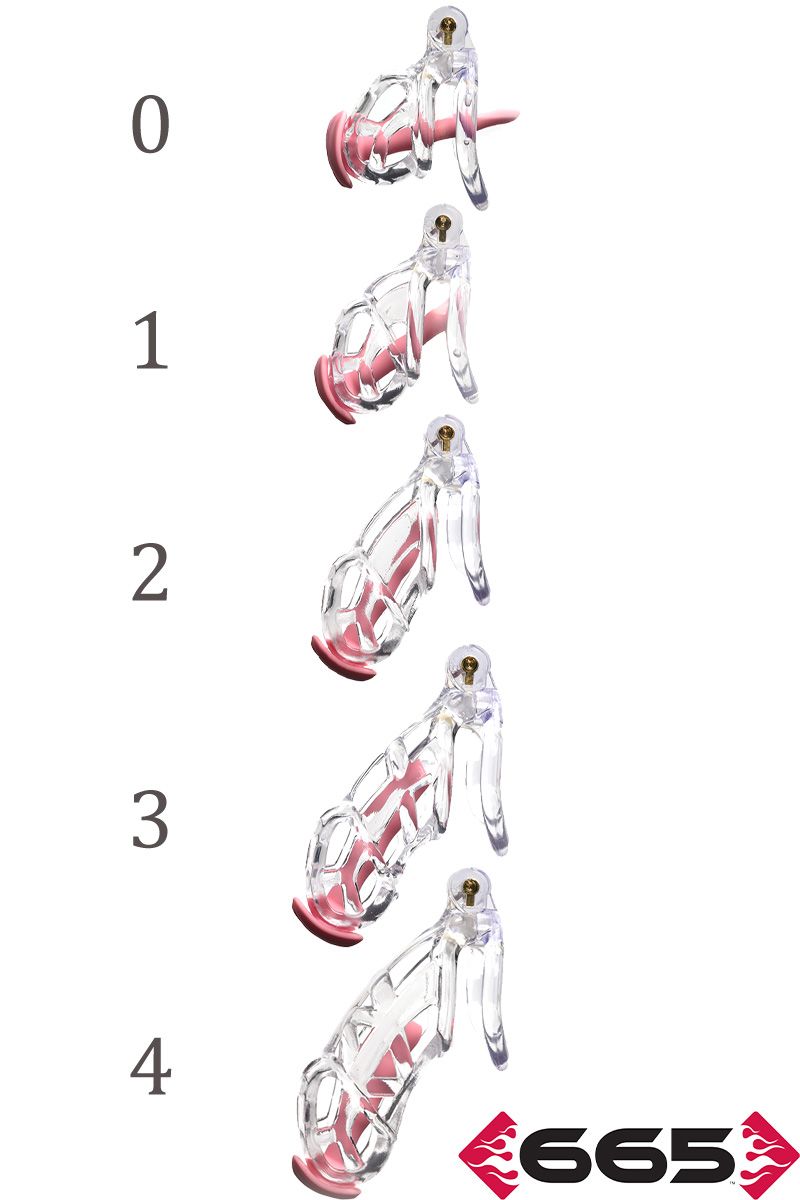 CellMate - Guardian Clear Chastity Cage - Boutique Séduction