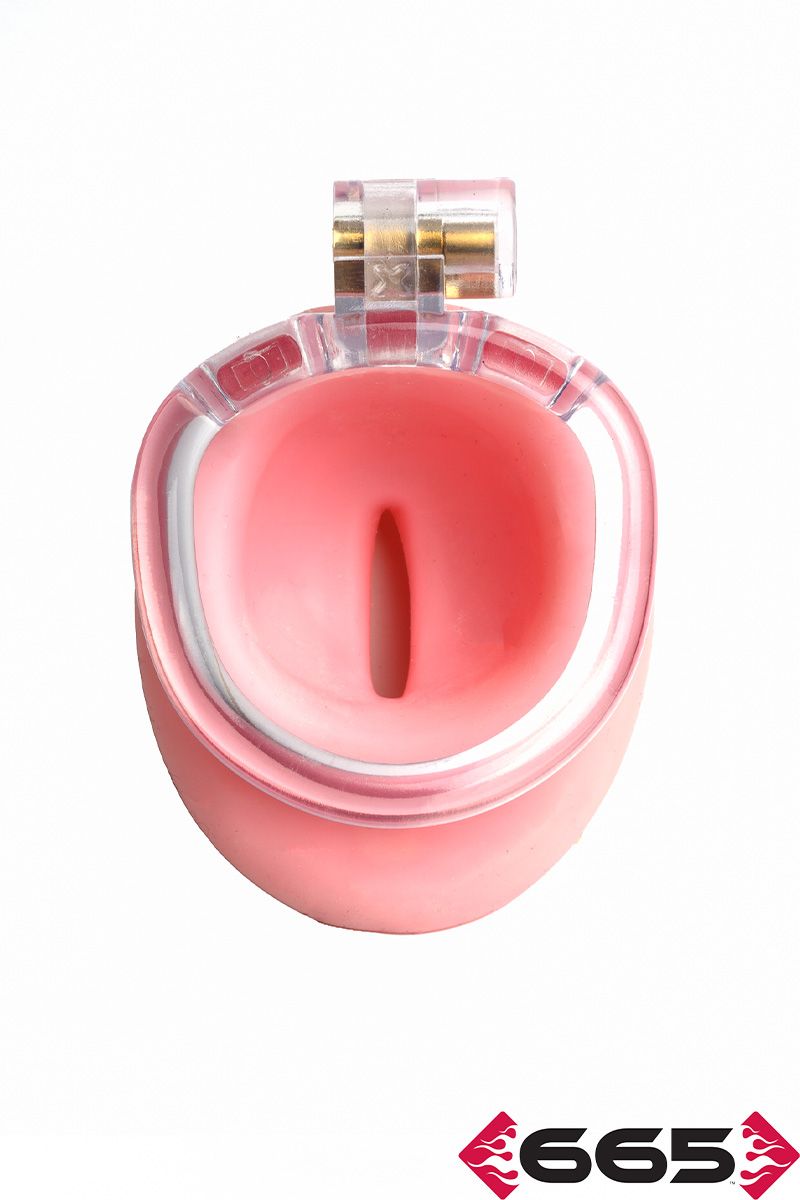 CellMate - Pussyfyer Chastity Cage - Boutique Séduction