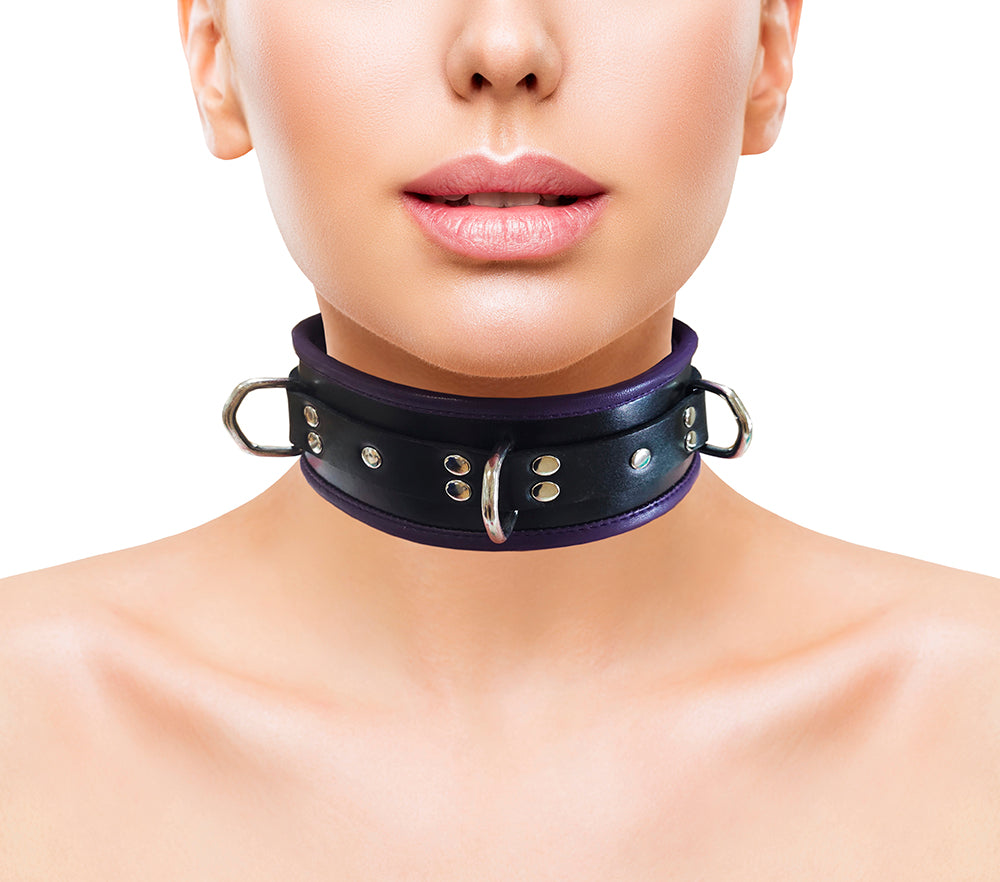 Rouge - Leather 3 D-Ring Padded Collar - Boutique Séduction