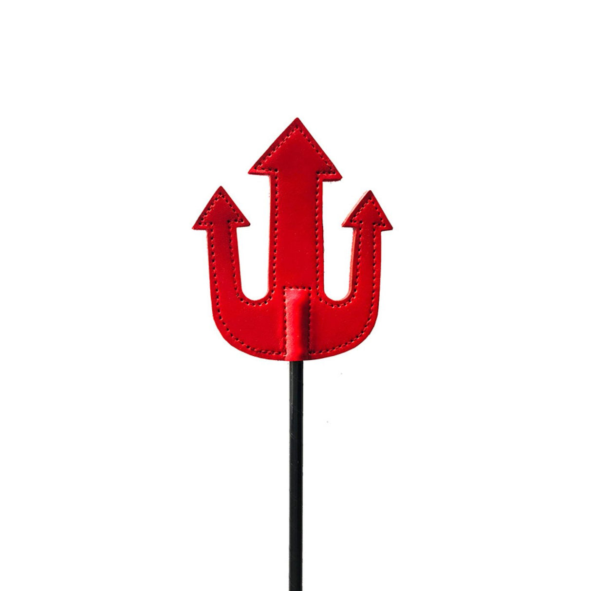 Cravache en Cuir du Diable