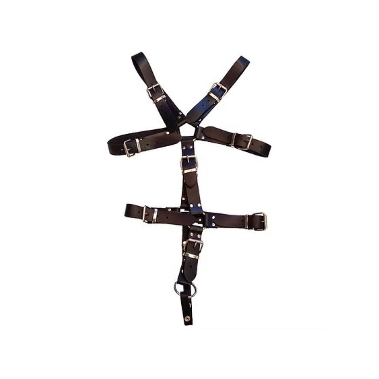 Harnais de Maître en Cuir