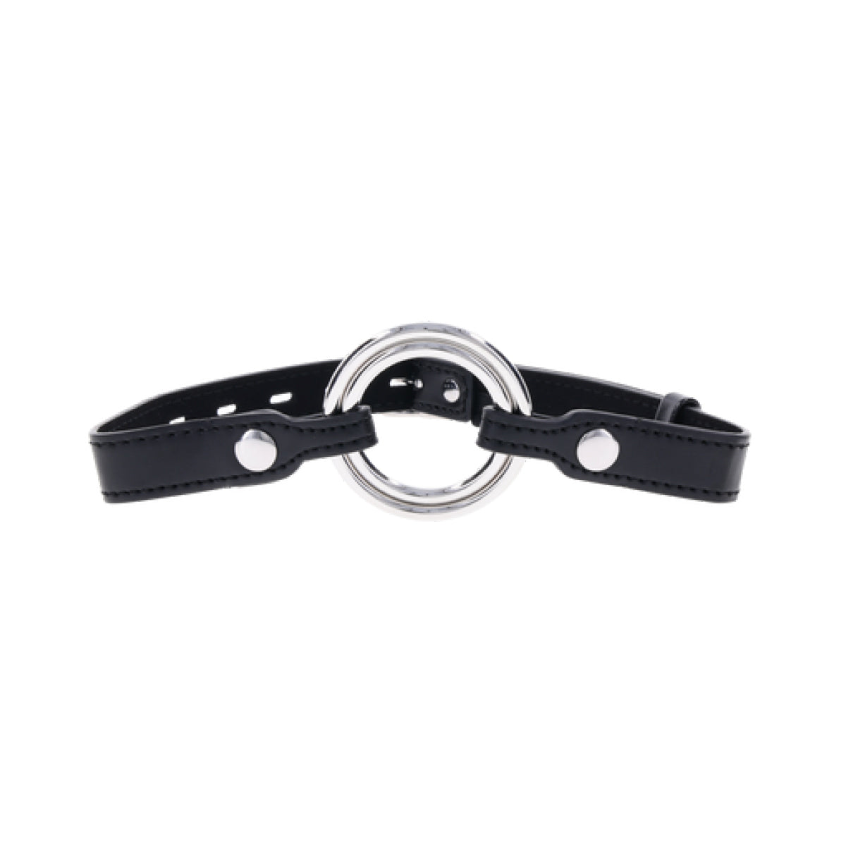 Interchangeable Ring Gag