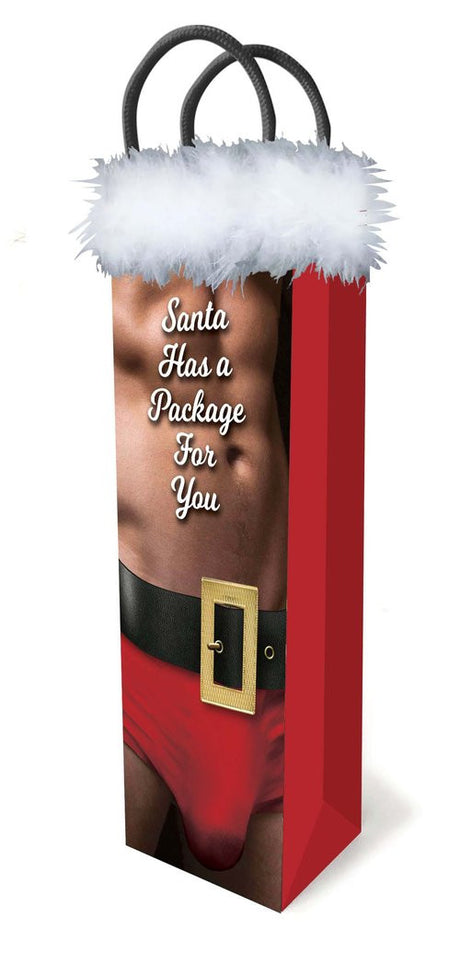 Santa Has a Package For You Gift Bag Little Genie - Boutique Séduction