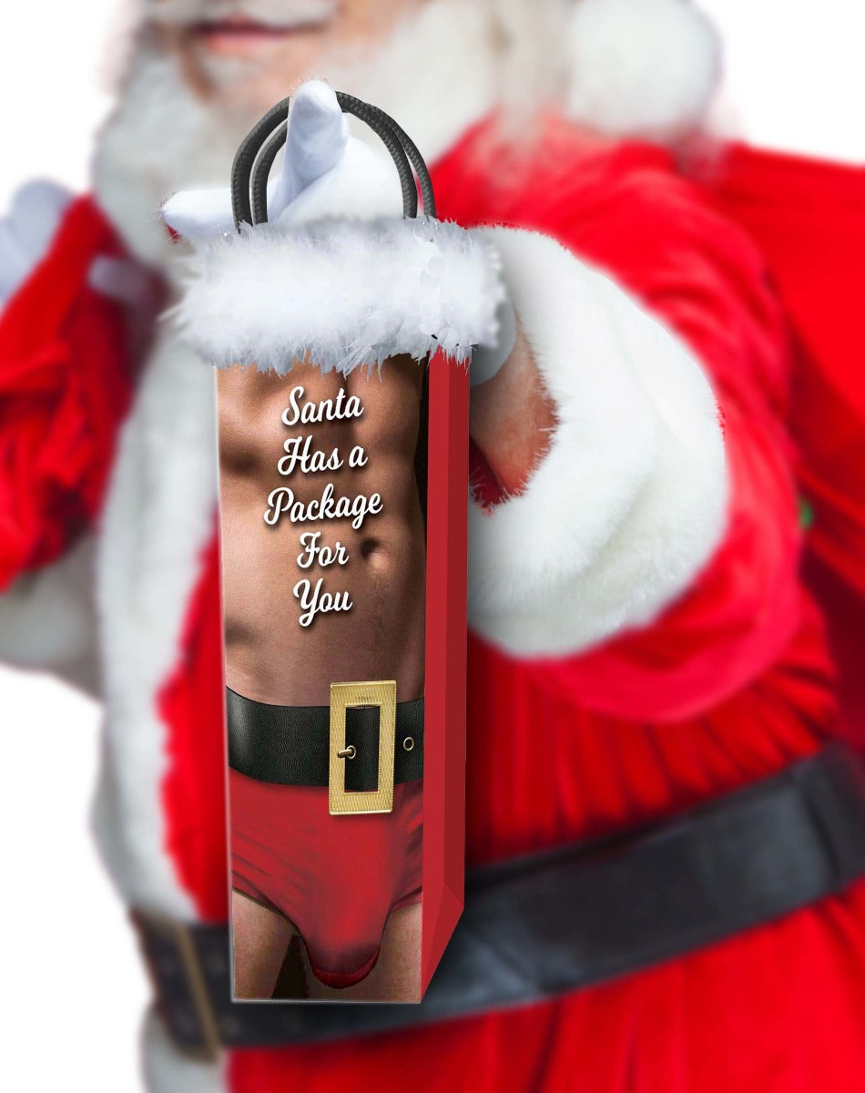 Santa Has a Package For You Gift Bag Little Genie - Boutique Séduction