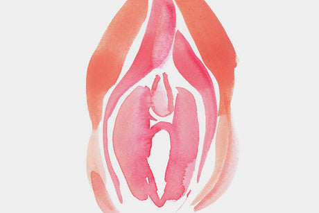 Understanding and Loving Your Vulva