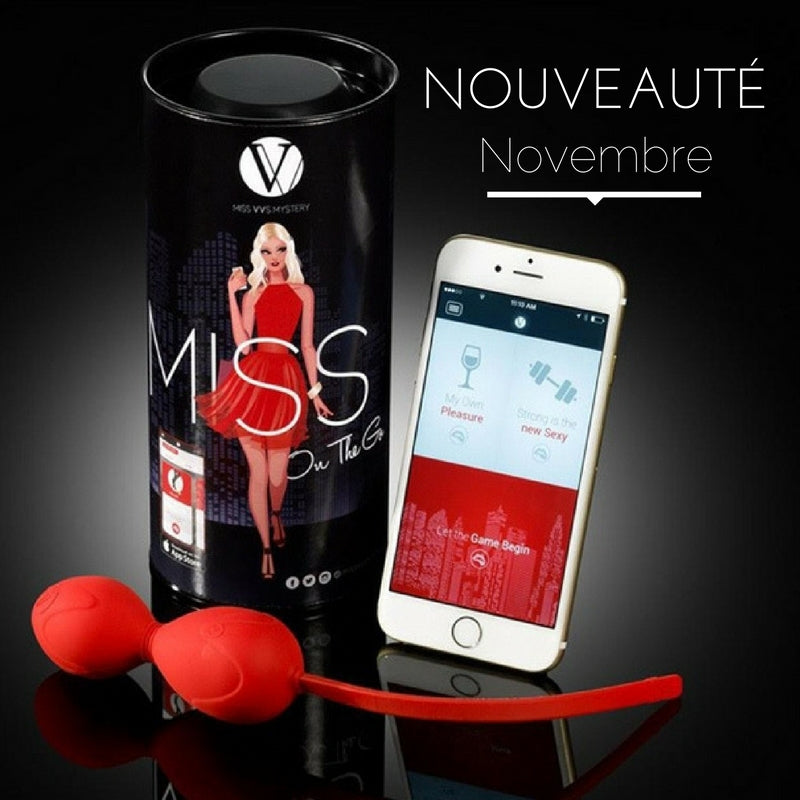 Nouveauté du mois de novembre...Miss On the Go !