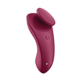 Sexy Secret Panty Stimulator