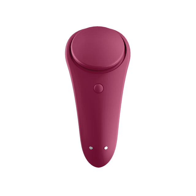 Sexy Secret Panty Stimulator