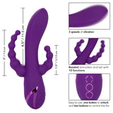 LONG BEACH BOOTYLICIOUS Triple Stimulator Vibrator - CALIFORNIA DREAMING California Dreaming - Boutique Séduction