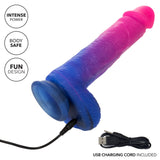 OMBRÉ HOMBRE Vibrating Dildo - NAUGHTY BITS Naughty Bits - Boutique Séduction