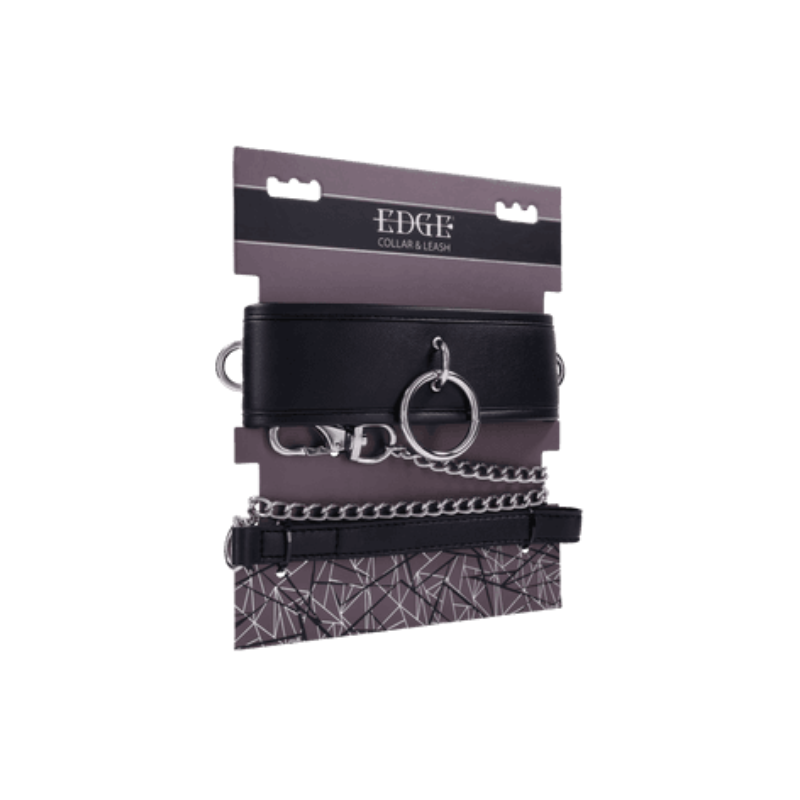 Padded Collar & Metal Leash