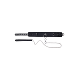 Padded Collar & Metal Leash