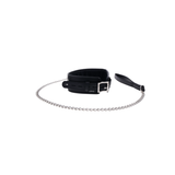 Padded Collar & Metal Leash