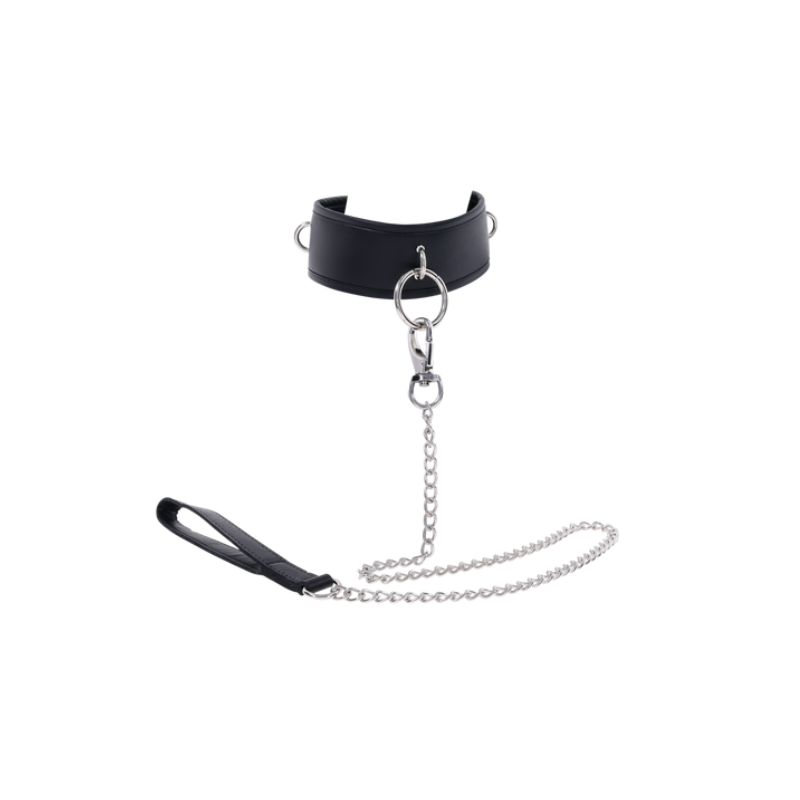 Padded Collar & Metal Leash