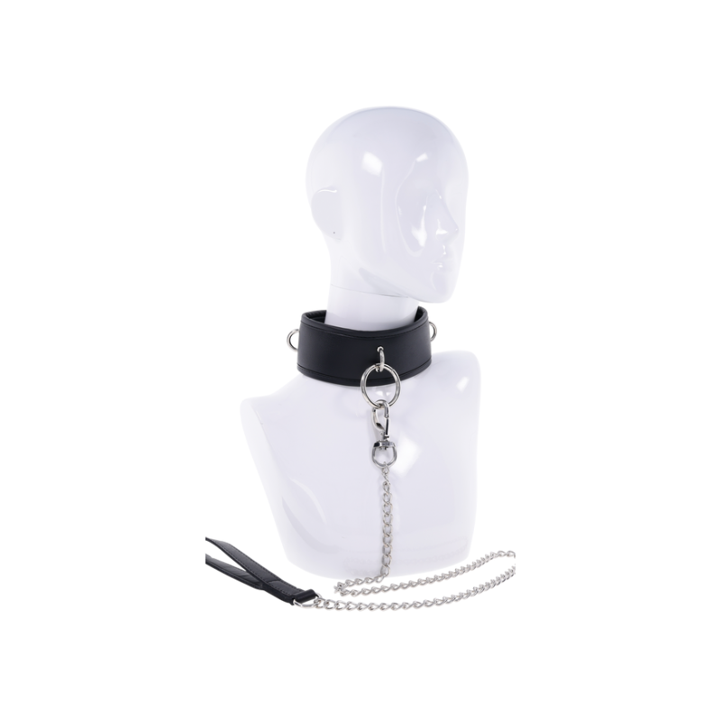 Padded Collar & Metal Leash