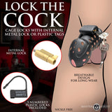 Master Series - Lock Down Chastity Cage - Boutique Séduction