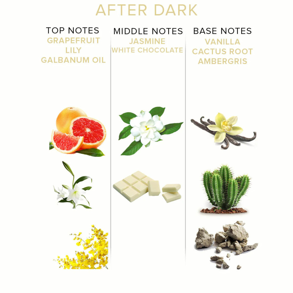 After Dark Pheromone Perfume Attract Him