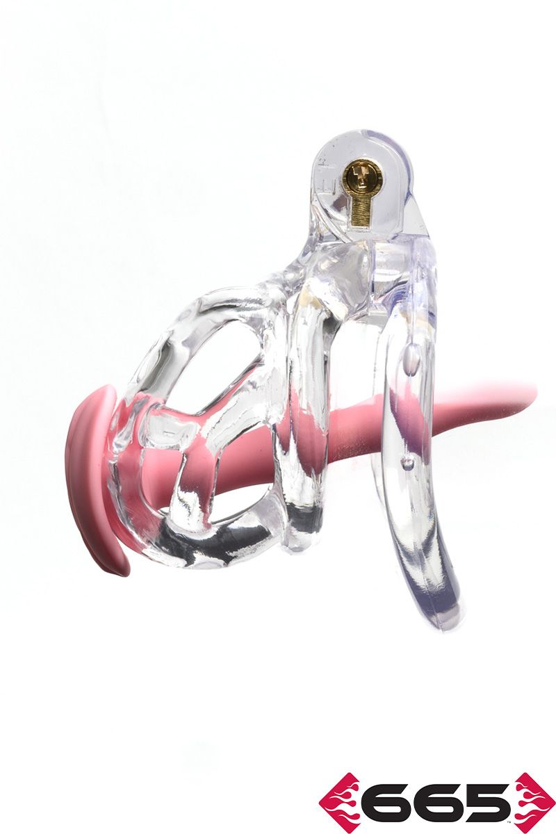 CellMate - Guardian Clear Chastity Cage - Boutique Séduction