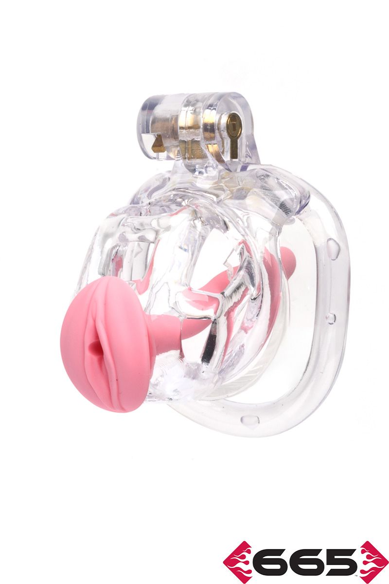 CellMate - Guardian Clear Chastity Cage - Boutique Séduction
