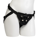 Harness & Bullet
