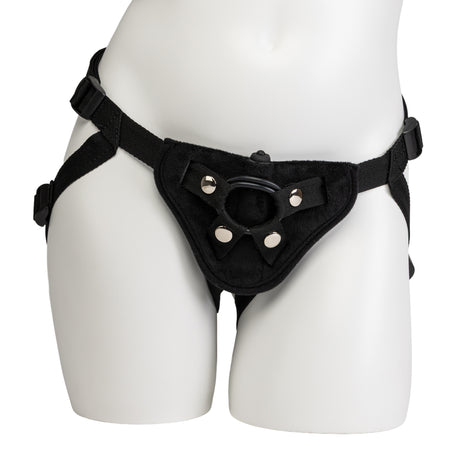 Harness & Bullet