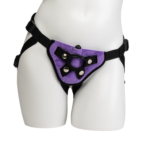 Harness & Bullet