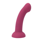 Semi Realistic Dildo
