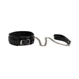 Miss Morgane Pearlescent Collar & Chain Leash | Adjustable & Elegant