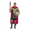 Men's Battle Gladiator Costume