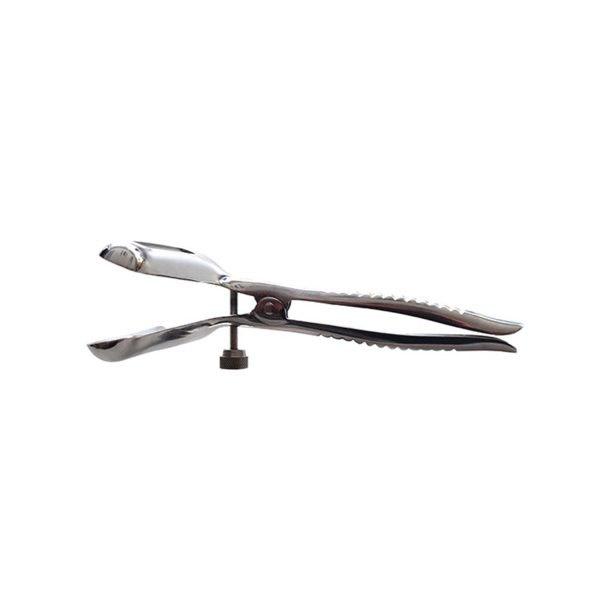 Rouge - Stainless Steel Anal Speculum - Boutique Séduction