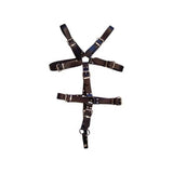 Harnais de Maître en Cuir