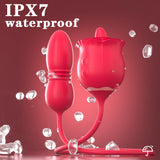 Voluptuous Flower Vibrateur Double Stimulation