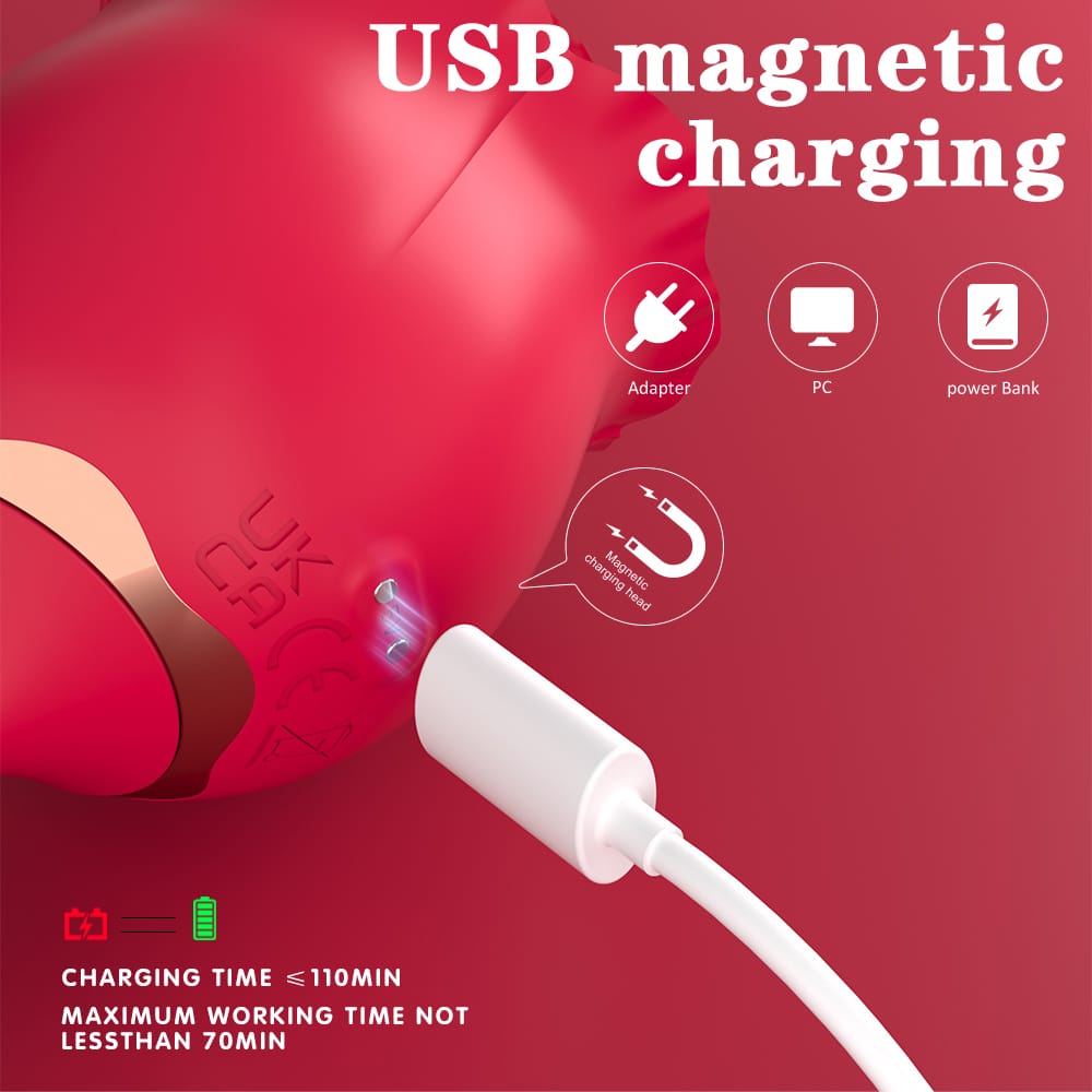 Voluptuous Flower Vibrateur Double Stimulation