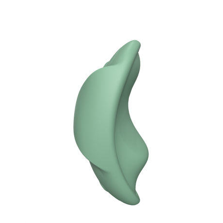 Whale Spirit Vibrateur pour Culotte Télécommandé