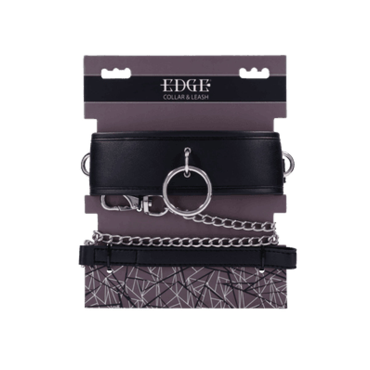 Padded Collar & Metal Leash