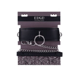 Padded Collar & Metal Leash