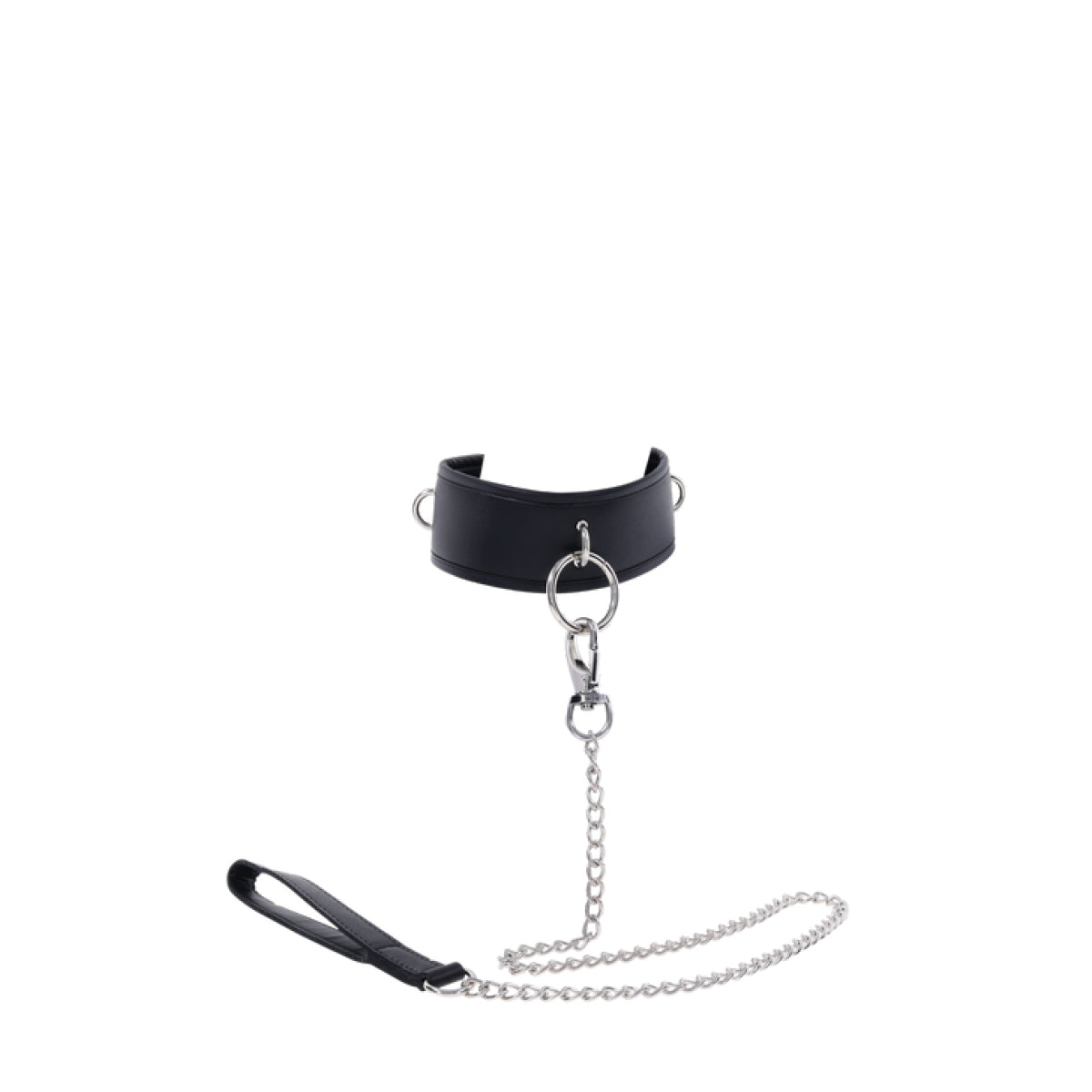 Padded Collar & Metal Leash
