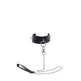 Padded Collar & Metal Leash