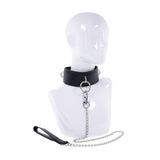 Padded Collar & Metal Leash