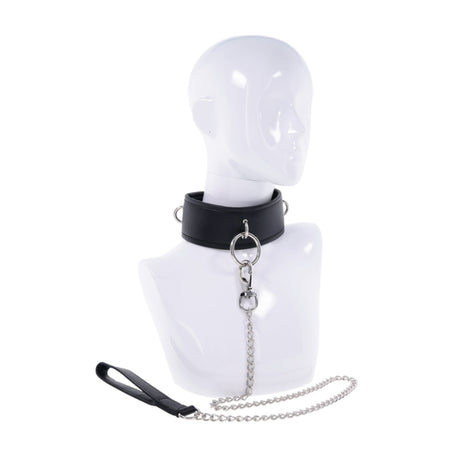 Padded Collar & Metal Leash