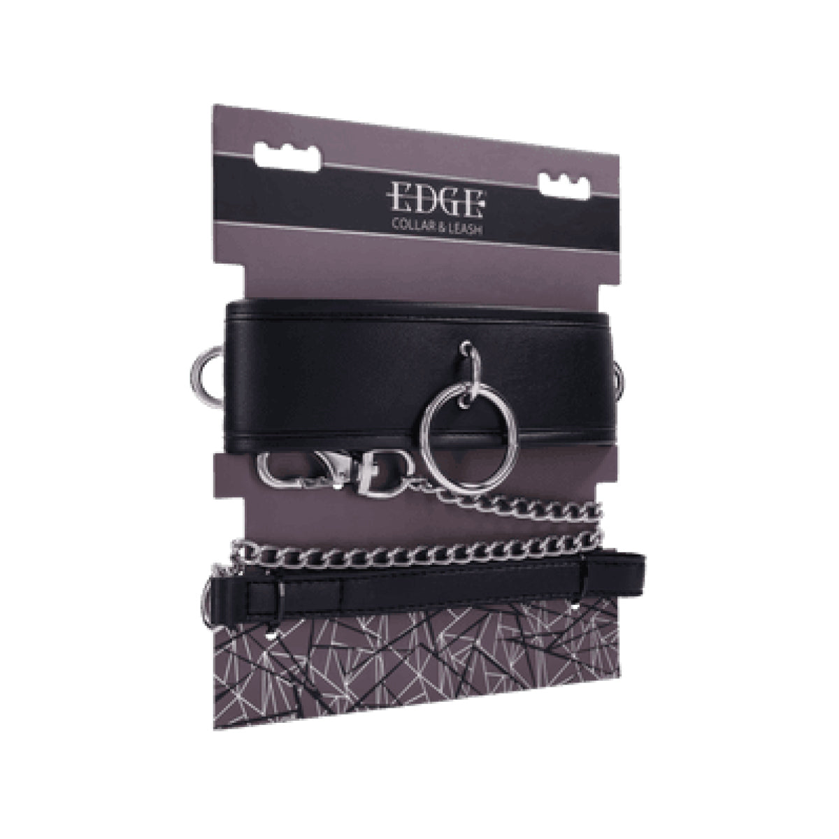 Padded Collar & Metal Leash