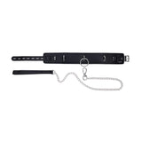 Padded Collar & Metal Leash