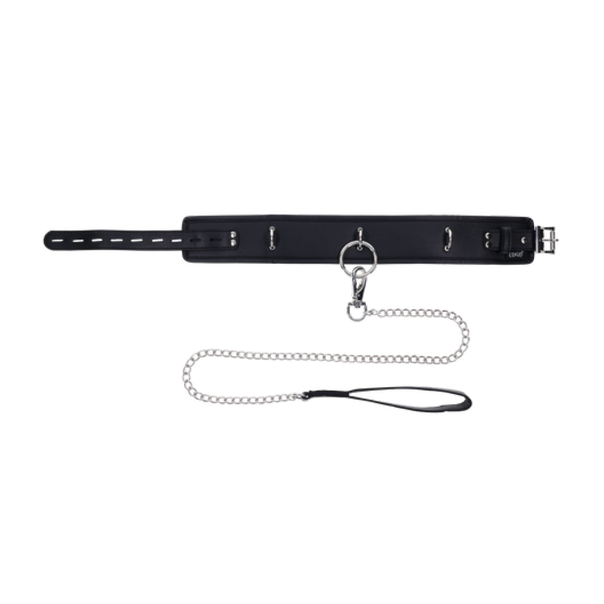 Padded Collar & Metal Leash