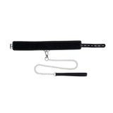 Padded Collar & Metal Leash