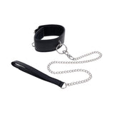 Padded Collar & Metal Leash