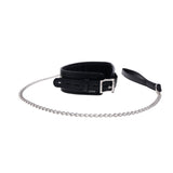 Padded Collar & Metal Leash